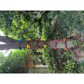 2Kids Toys Tree Climbing Handles with Straps 12 pcs